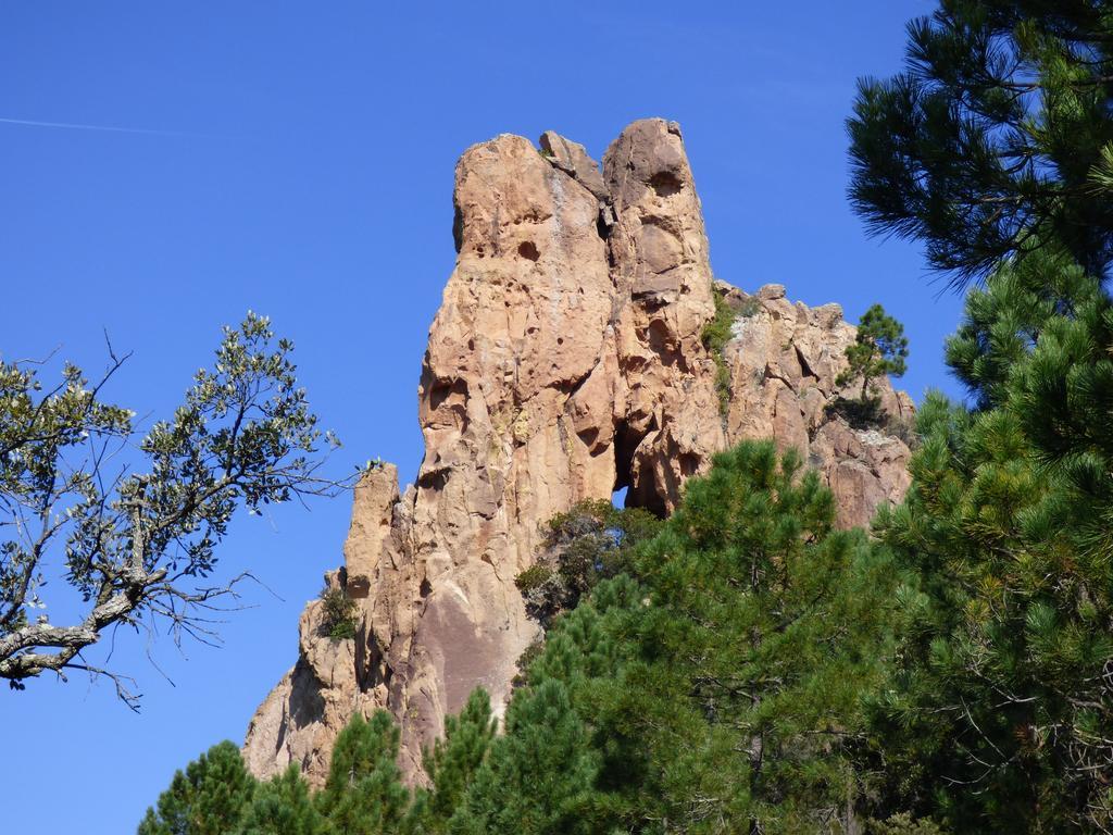 Chambres D'Hotes Vue Mer L'Esterel Panoramique Saint-Jean-de-l'Esterel Екстериор снимка