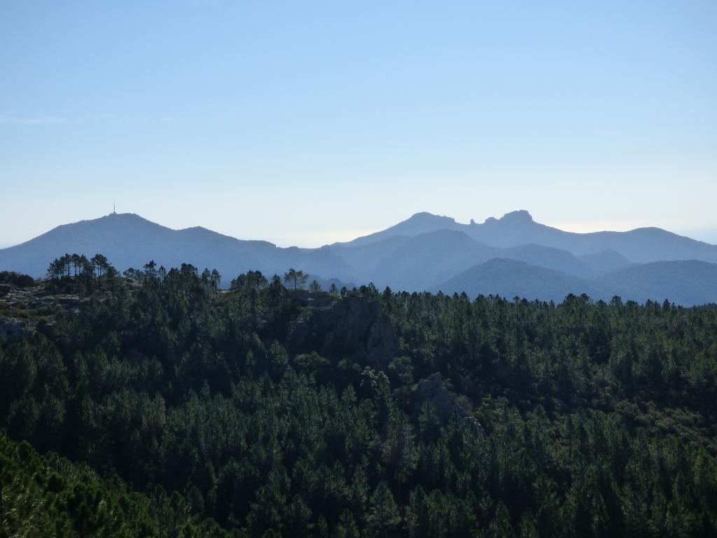 Chambres D'Hotes Vue Mer L'Esterel Panoramique Saint-Jean-de-l'Esterel Екстериор снимка
